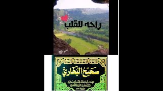 سلسلة الرقاق من صحيح البخارى1