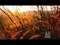 Homeward Bound Arr Mack Wilberg 2019 The Tabernacle Choir Homeward Bound Arr Mack Wilberg 2019 The Tabernacle Choir