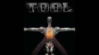 TOOL 4 Message to Harry Manback II