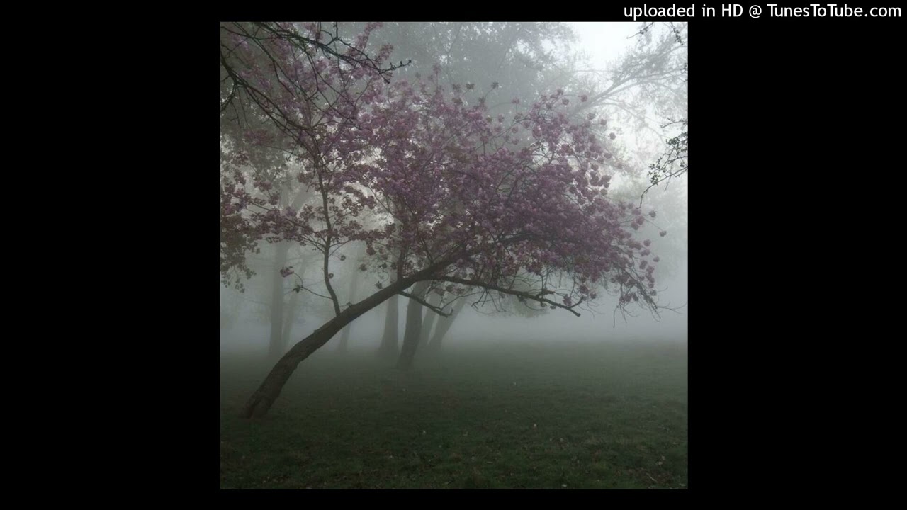 izaya tiji x wifi type beat 'woodlands' (octo, gioshawty)