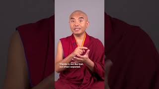 Can one find Mr. or Ms. Perfect? -Mingyur Rinpoche