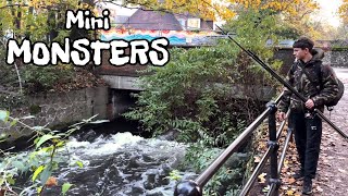 CATCHING mini MONSTERS from a LONDON river