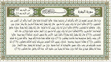الذِّكْرُ الحَكِيْمُ - سورة البقرة من الآية 67 الى الآية 74 – القارىء المهندس ضياء شحتو