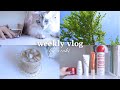 vlog / life in Japan🇯🇵went to hair salon and Dermatology💇♀️🏥 Japanese student