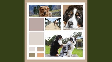 Magical Lazy Puppy Afternoons