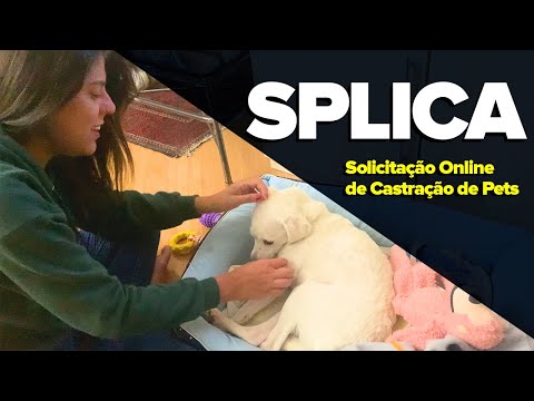 SPLICA - Solicitação Online de Castração de Pets