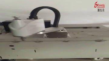 Delta robot Scara robot for bakery foods