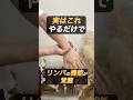 リンパが覚醒するツボ