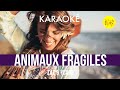  animaux fragiles zaz  ycare karaok