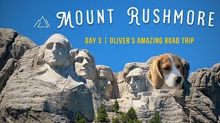 Cute beagle goes to Mt Rushmore and meets a herd of bison