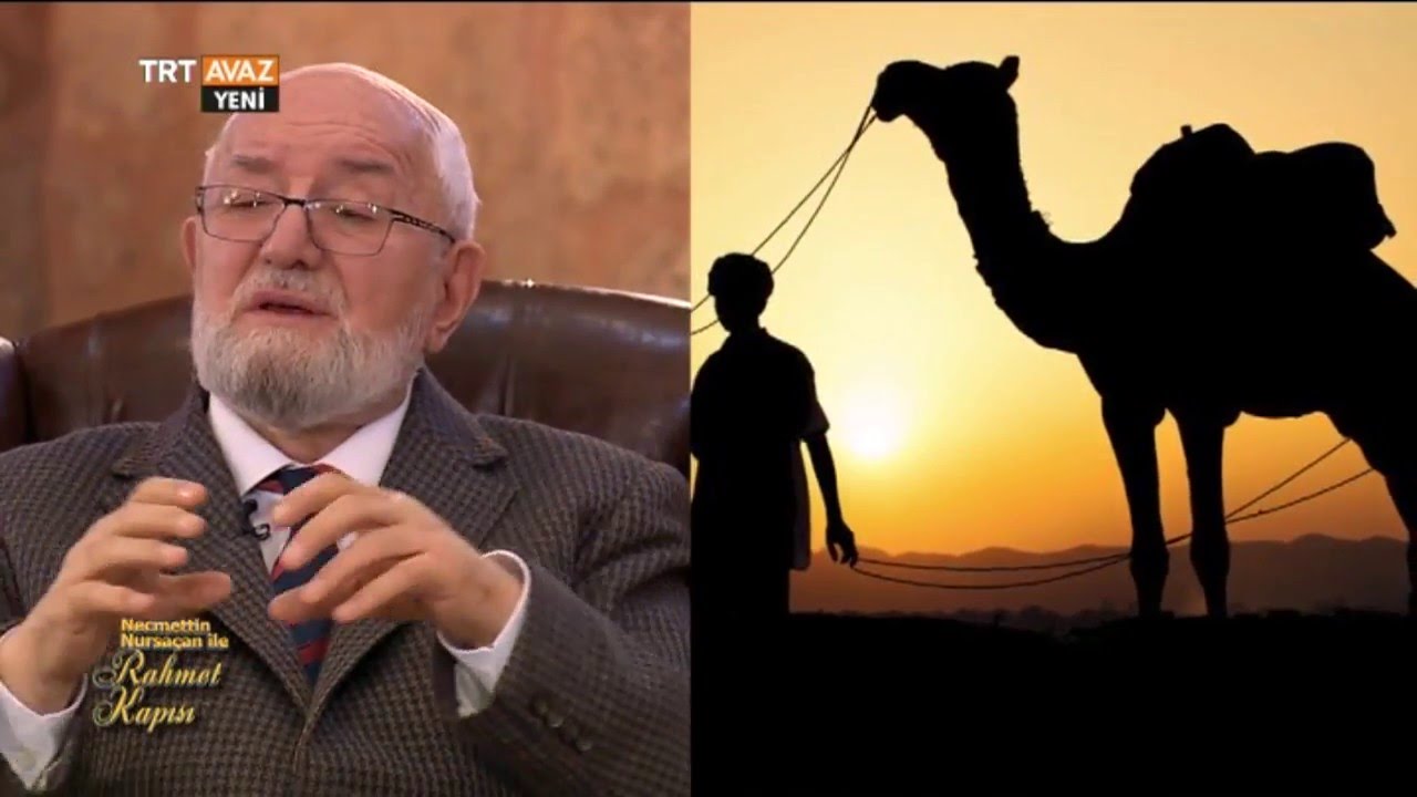 Dilimize Hakim Olmanın Önemi - Necmettin Nursaçan ile Rahmet Kapısı - TRT Avaz