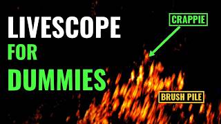 LiveScope for Dummies: How to Read Forward Facing Sonar for Crappie