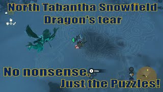 Thumbnail North Tabantha Snowfield Dragon's Tear guide | Zelda TOTK