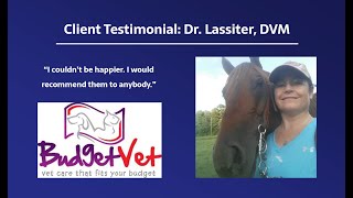 Client Testimonial: My Budget Vet