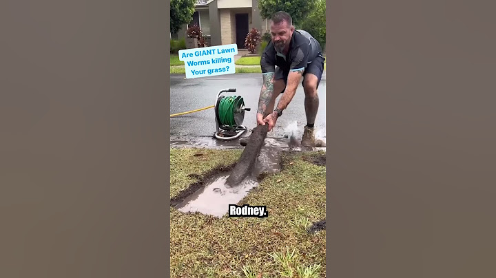 These GIANT Lawn Worms will give you nightmares. With @theunblockersaus