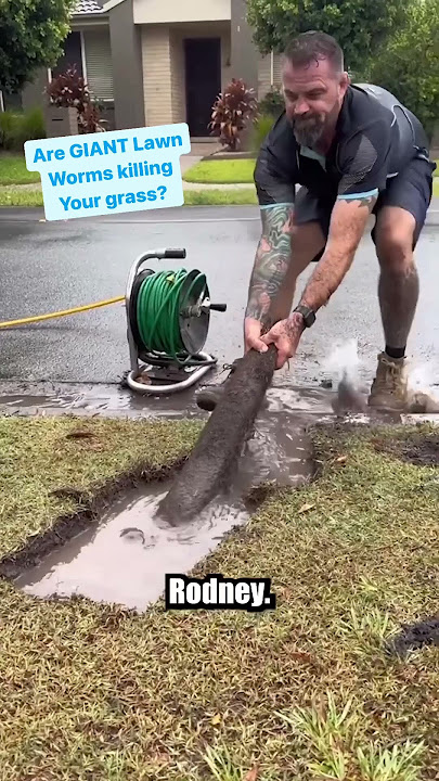 These GIANT Lawn Worms will give you nightmares. With @theunblockersaus