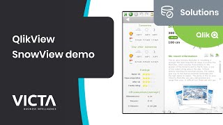 QlikView Solutions - SnowView demo screenshot 2