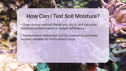 How Can I Test Soil Moisture? - The Plant Enthusiast