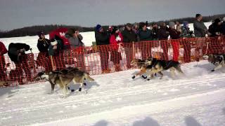 Iditarod 2013 Restart - Scott Janssen