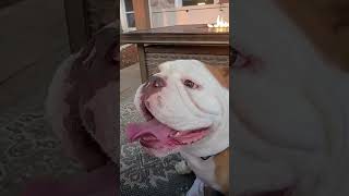 Download Lagu Pablo Escobar MP3