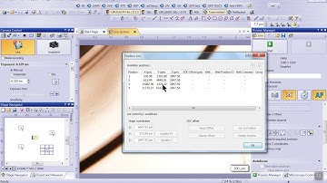 Cellsens DI V2.1 Stage Navigator and Group Positions