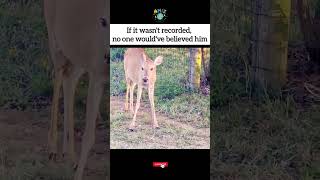 If it wasn't recorded, no one would've believed him 😂