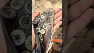 Sewing Buttons On Dog Ears #goodtoknow #funfacts #lifehacks #educational #learn #aural #hematoma