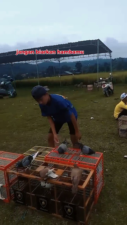 video_1226#Yaallah untuk hasil adalah Hakmu... #motivasidiri #motivasikehidupan #kata²bijak