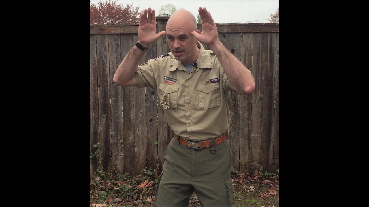 Pack 680 songs and cheers - Moose Alpaca!