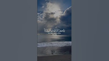 تلاوة خاشعة للشيخ ياسر الدوسري | “إِنَّكَ لَا تَهْدِي مَنْ أَحْبَبْتَ