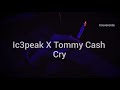IC3PEAK x Tommy Cash - Cry (Sub español)