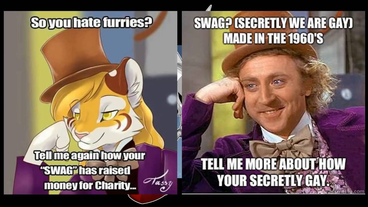 Furry Memes Images