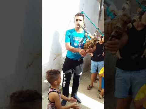 العزف على القربة علاء البطل 