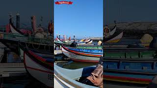 Porto de Abrigo - TORREIRA em Aveiro #moliceiro #aveiro #torreira