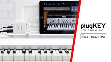 KORG plugKEY - MOBILE MIDI/ AUDIO Interface.