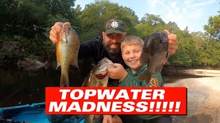 Pitching topwater bugs on the Satilla River. Over 30 fish on film!!!!! LOCATION GIVEN!!!!!!!