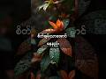 စိတ်ချမ်းသာအောင်နေနည်း #foryou #motivation #knowledge #shorts