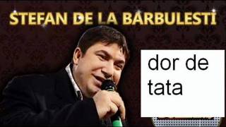 Stefan de la Barbulesti-Dor de tata