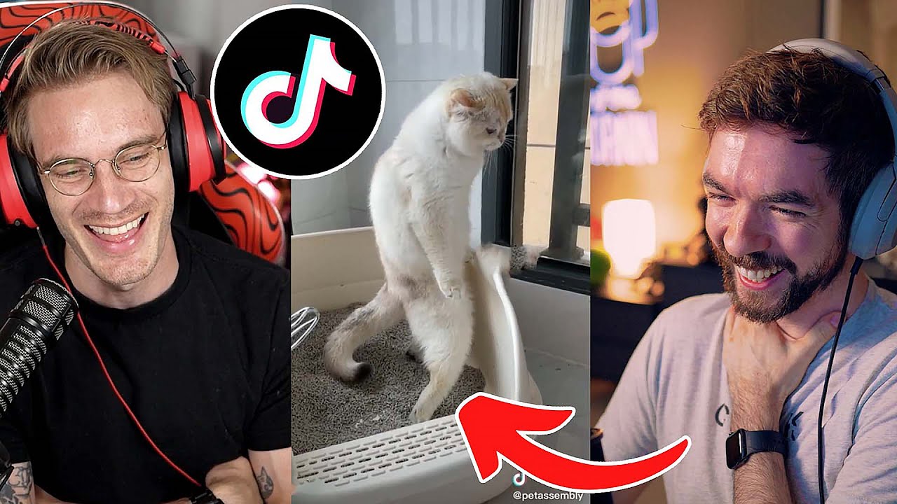 Showing Felix My FUNNIEST TikToks, on YouTube