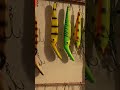 Making a Lure Display #woodworking #diy #wood #woodwork #handmade #carpentry