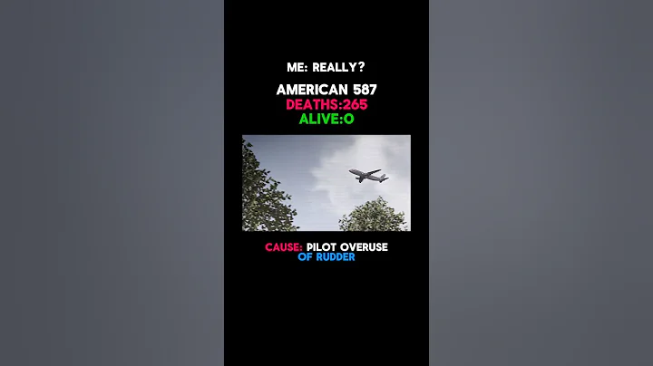 American Airlines has never had a crash #planecrash #trending #viralvideo #airplane #travel #fyp