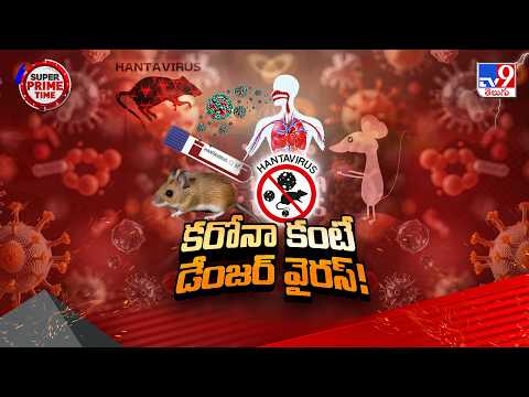 Virus Terror on High Seas: MV హోండియస్ అనే డచ్ షిప్ నౌకలో వైరస్ కల్లోలం.. ముగ్గురు మృ*తి - TV9 - TV9