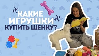 видео: ЛУЧШИЕ ИГРУШКИ ДЛЯ ЩЕНКА | ЧТО ВЫБРАТЬ, ЧТОБЫ ЩЕНОК БЫЛ СЧАСТЛИВ? картинка: ЛУЧШИЕ ИГРУШКИ ДЛЯ ЩЕНКА | ЧТО ВЫБРАТЬ, ЧТОБЫ ЩЕНОК БЫЛ СЧАСТЛИВ?