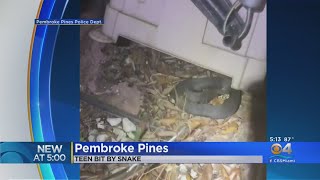Pines Teen Bitten By Venomous Water Moccasin