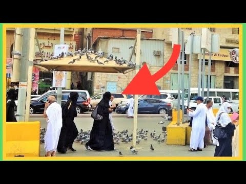 ✔ Makkah Madinah Street Life Scenes People Saudi Arabia Travel Video Guide