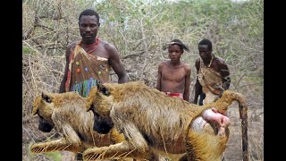 Hadzabe Tribe: Look Amazing Traditional Life Style | Hunting | Make ARROWS | Full Documentary (Ep 3)