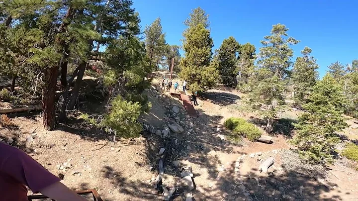 Stacy Pierce Zipline