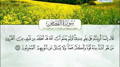 سورة القصص  76 الى 83