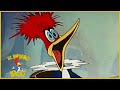 El Pájaro Loco en Español | Pájaro Loco Cena Fuera | Dibujos Animados en Español