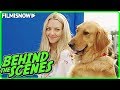 THE ART OF RACING IN THE RAIN (2019) | Behind the Scenes of Dog Movie